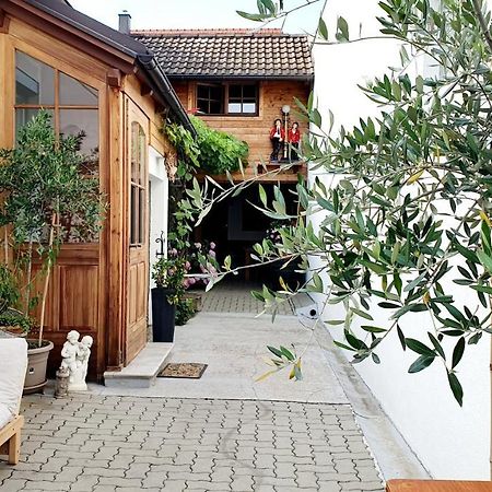 Casa Zara Apartment Mörbisch am See Екстериор снимка